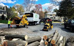 Best Firewood Processing and Delivery  in Agua Dulce, CA