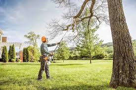 Best Lawn Watering Services  in Agua Dulce, CA